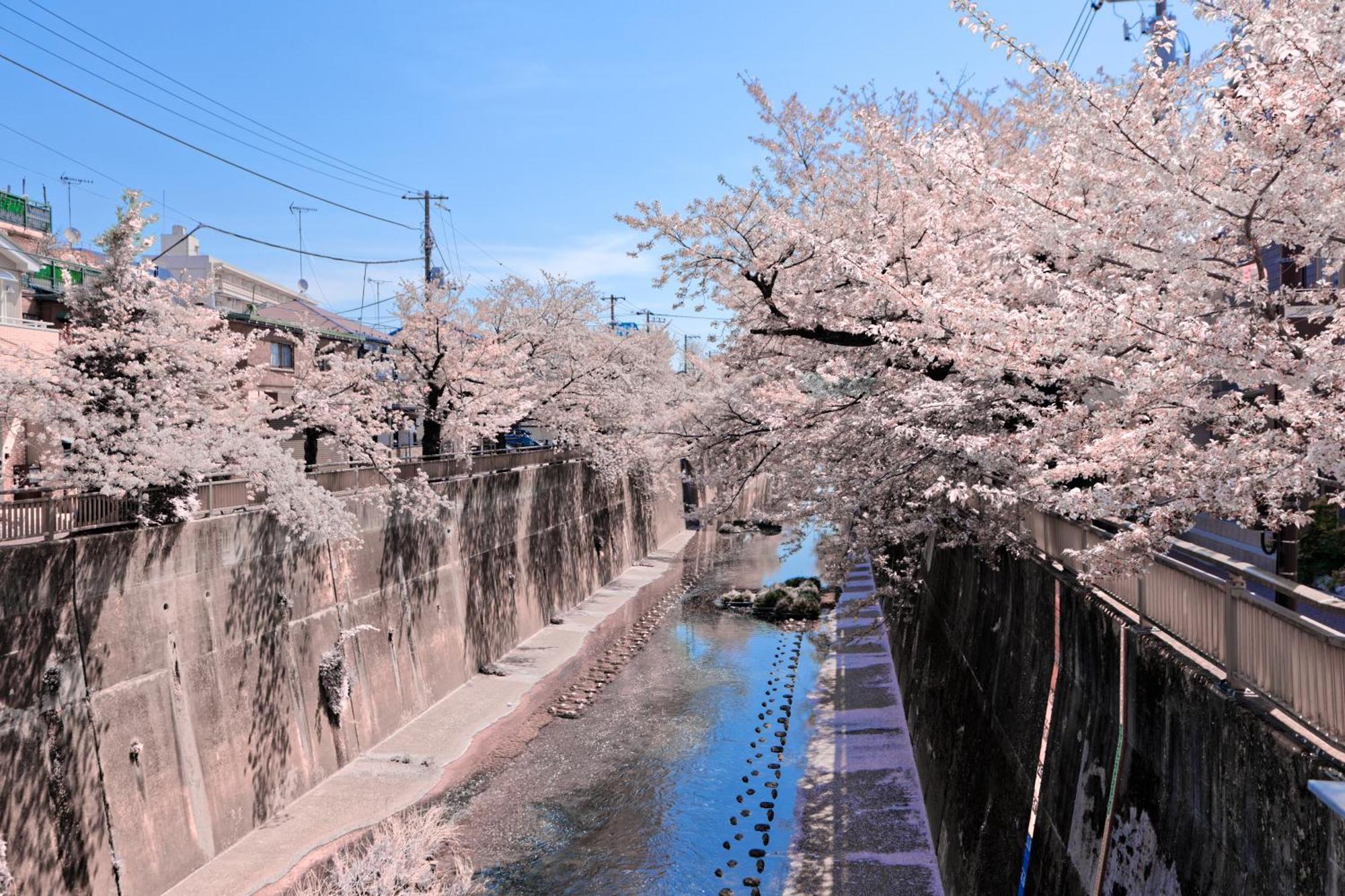 Calm Riverside Inn Close To Ikebukuro Tokyo Esterno foto